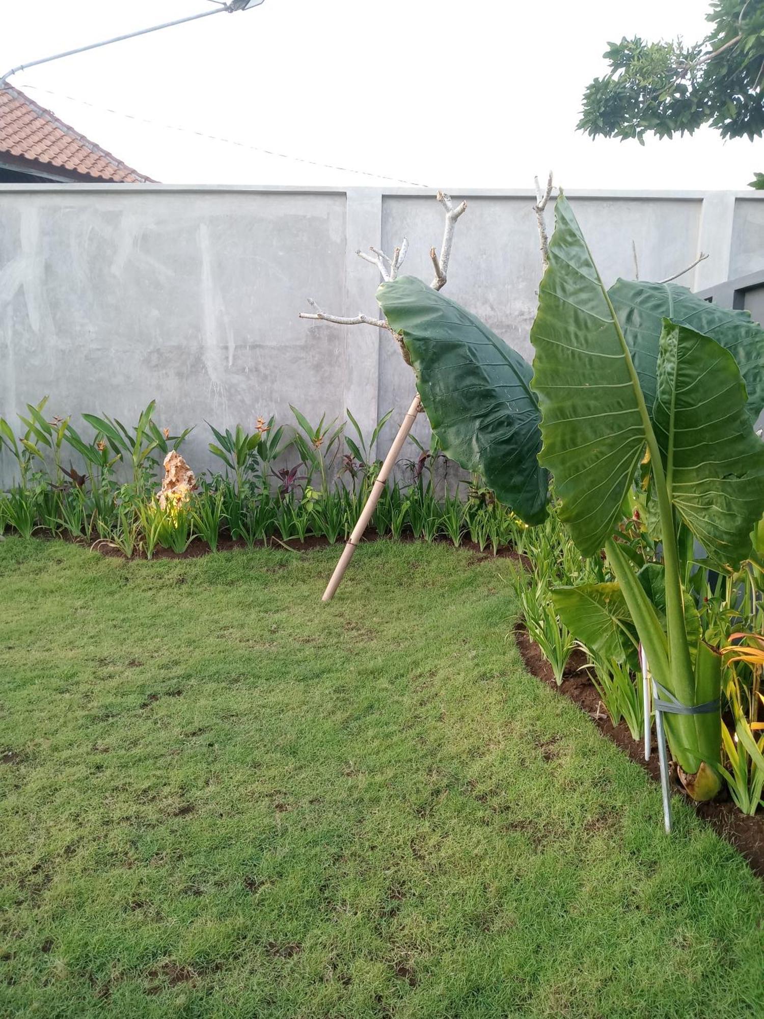 Parama Homestay Balangan أُلُواتو المظهر الخارجي الصورة