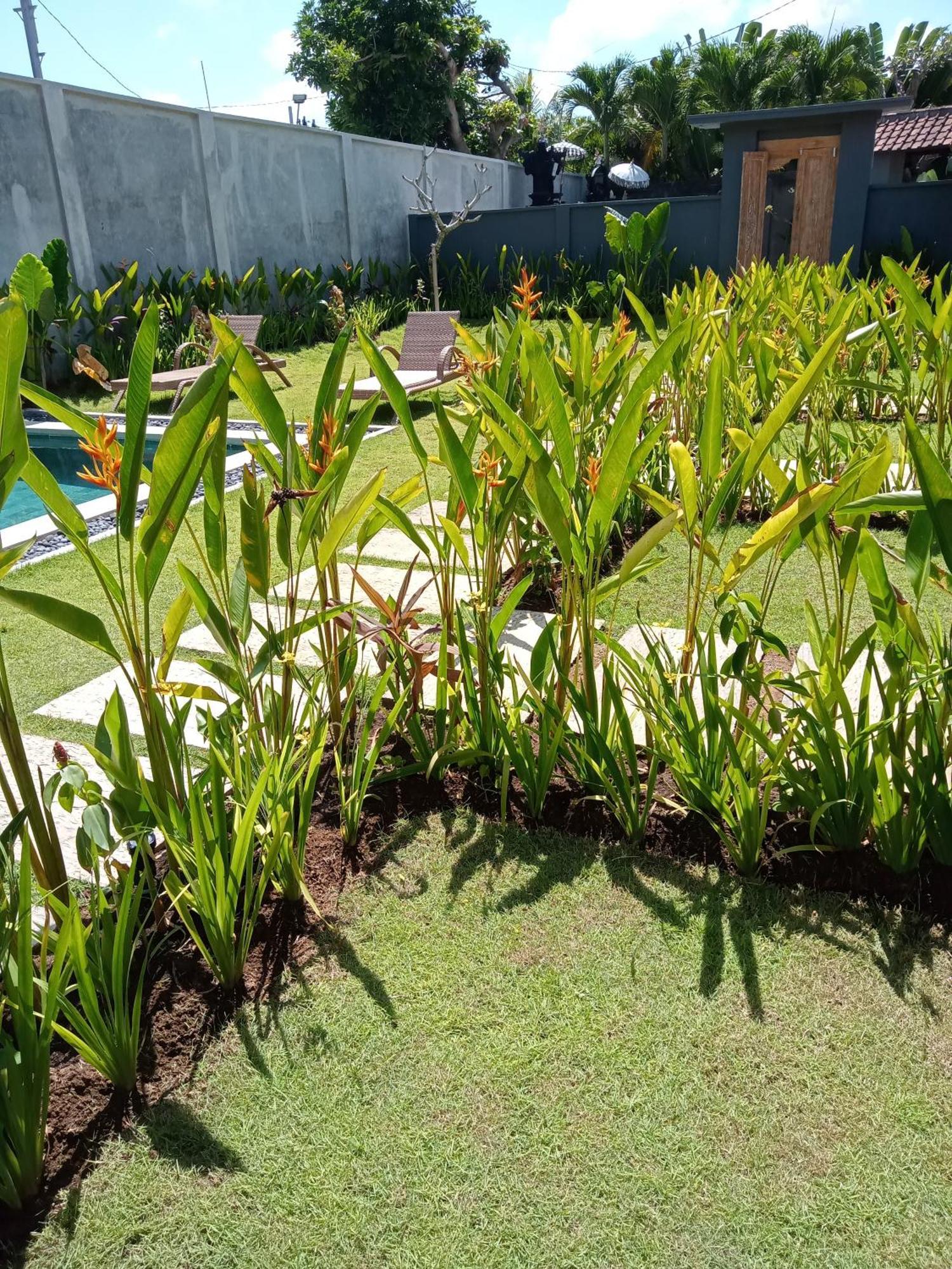 Parama Homestay Balangan أُلُواتو المظهر الخارجي الصورة